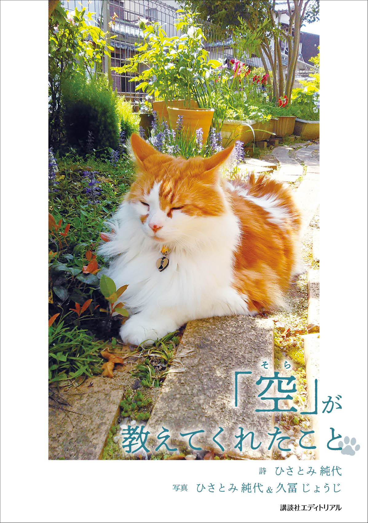 「空そら」が教えてくれたこと